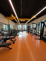 TES�S FOTO�RAFLARI 