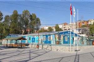 Tesis Resimler