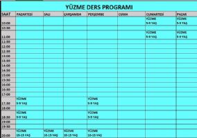 Tesis Ders Program