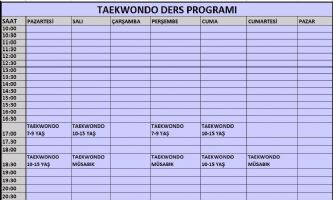 Tesis Ders Program