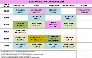 Tesis Ders Program