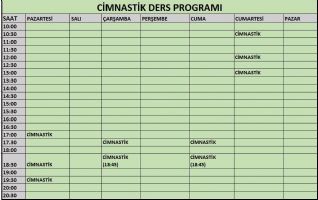 Tesis Ders Program